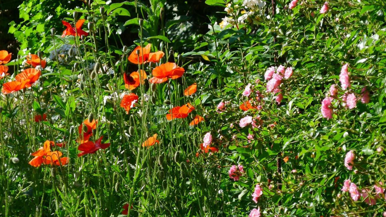 Le Petit Potager Bed and Breakfast Montbel  Esterno foto